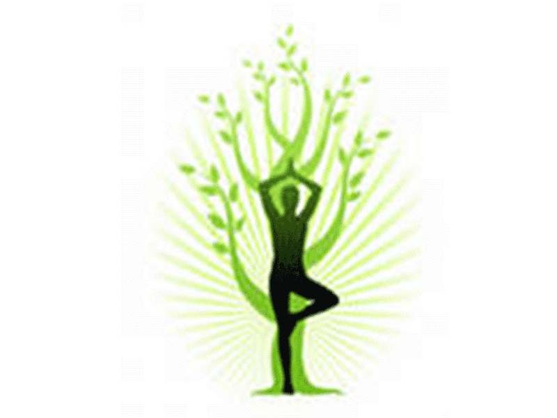 Фитнес-йога — йога для всех
